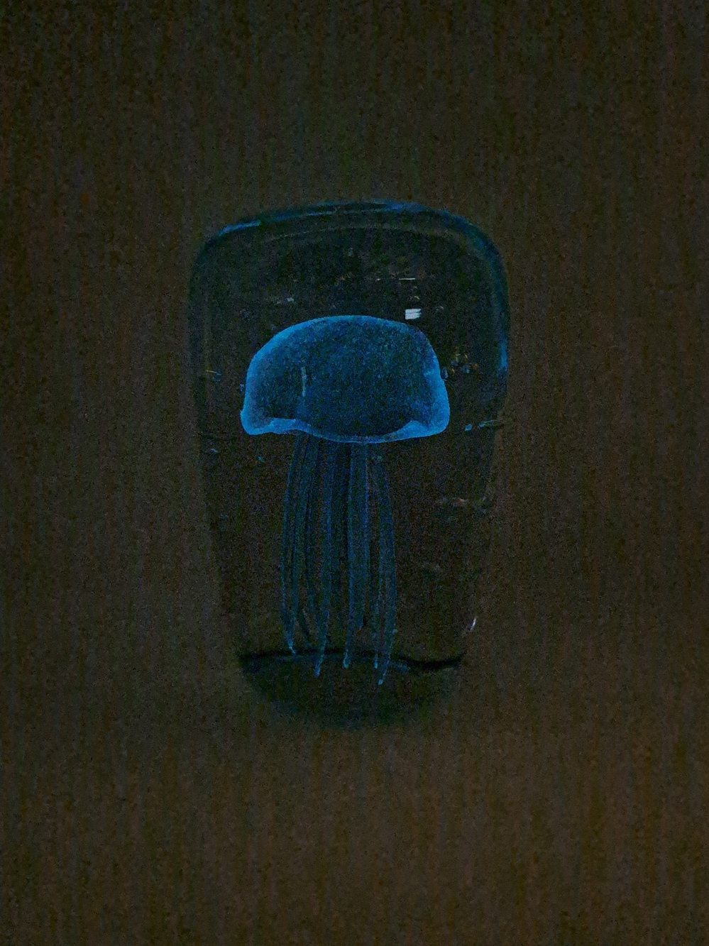 Green Jellyfish Glass Figurine Ocean Sea Life Decorative Sculpture Paperweight